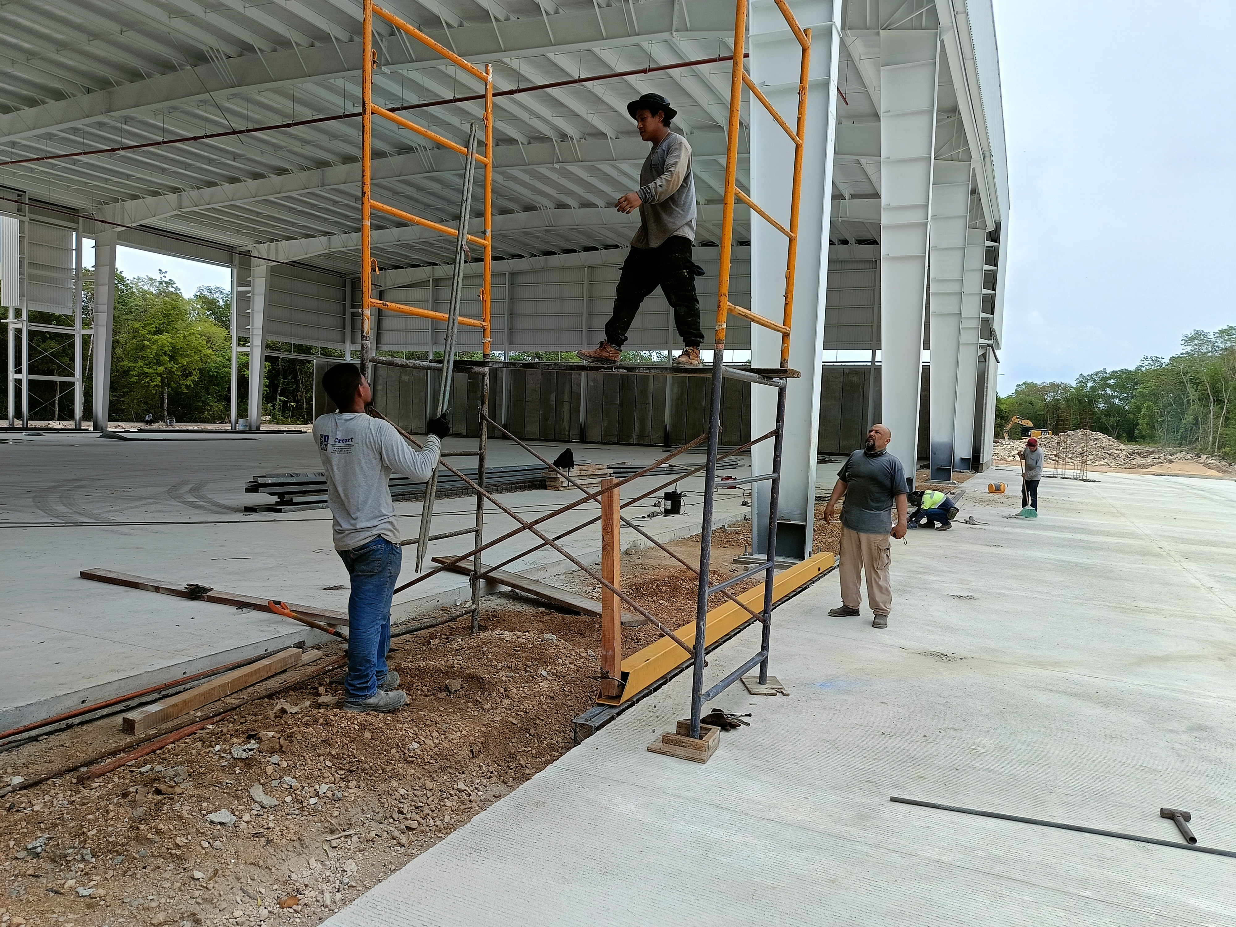 Estructura Comercial